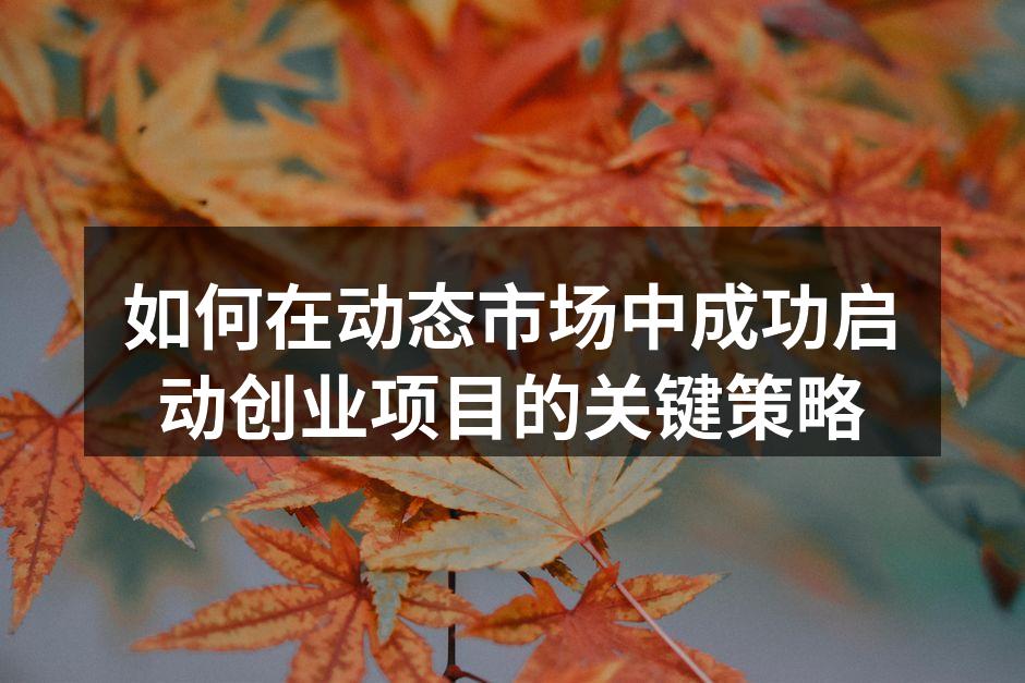 如何在动态市场中成功启动创业项目的关键策略