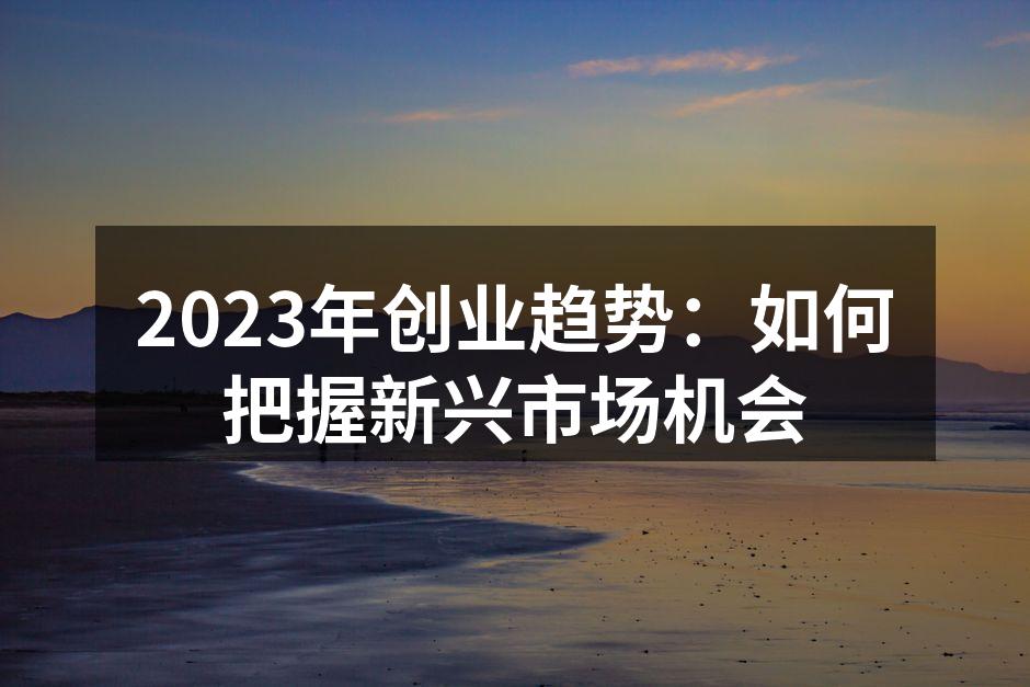 2023年创业趋势：如何把握新兴市场机会