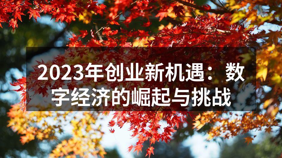 2023年创业新机遇：数字经济的崛起与挑